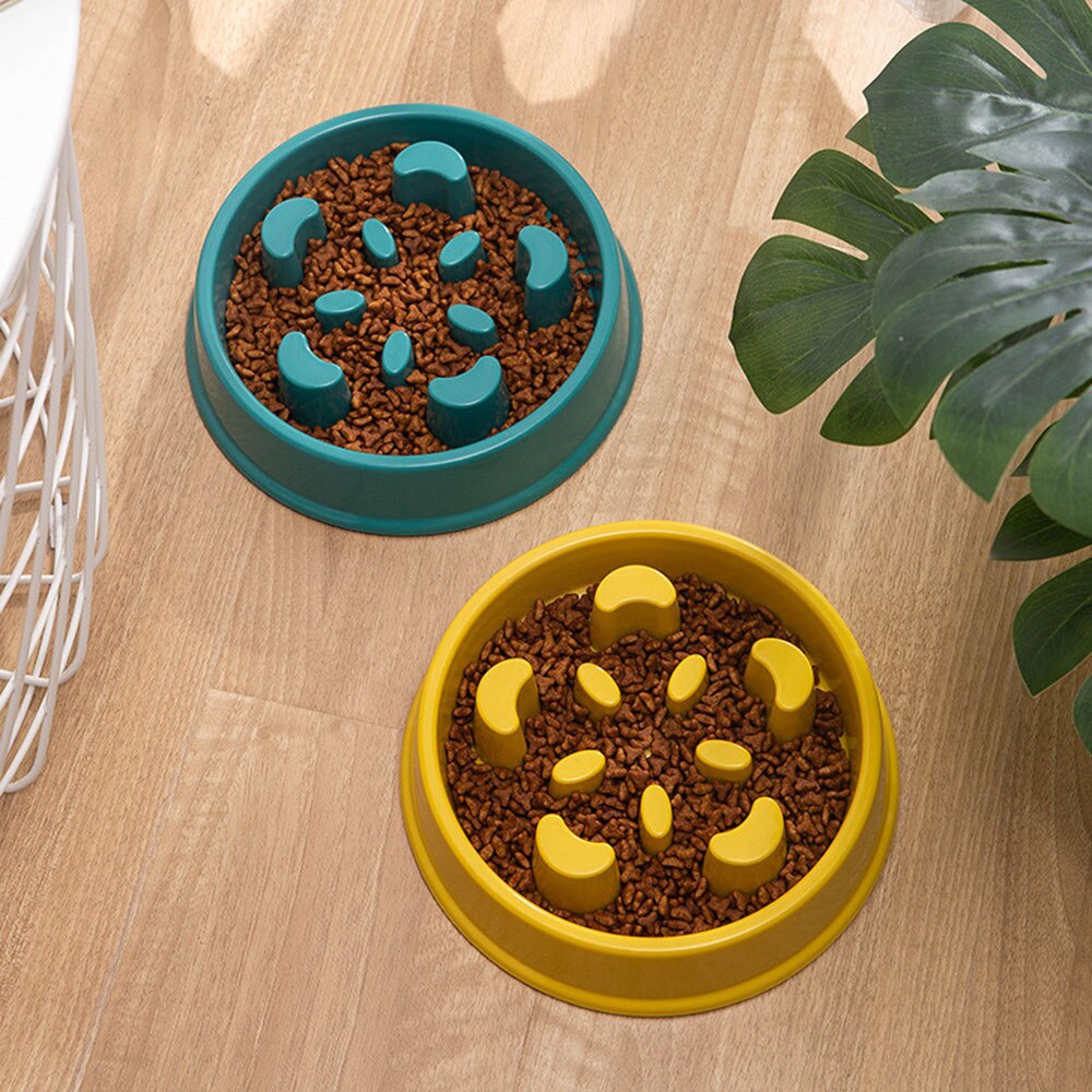 Slow Feeder Bowl for Dogs